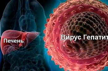 Вирусные гепатиты.